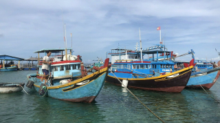 Mục tiêu thu nhập 77 triệu/người, phát triển kinh tế biển 'xanh'