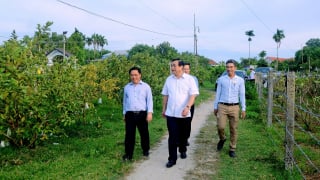 Bí mật của làng sưa Hương Trà và làng Cà Ban: 'Mỏ vàng' du lịch cộng đồng