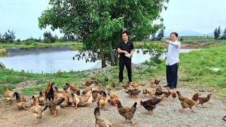Bỏ phố về quê cải tạo 9ha đầm lầy, nông dân Hà Tĩnh bỏ túi hơn 1 tỷ đồng/năm