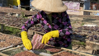 Sôi động làng làm cá khô vùng đảo ngày giáp Tết