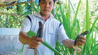 Trang trại tiền tỷ của chàng kỹ sư máy tính