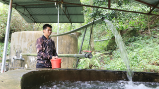 Nông dân người Dao khởi nghiệp nuôi cá hồi trên đỉnh Mẫu Sơn