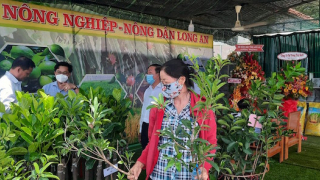 Nông dân Long An có thêm địa chỉ chọn giống cây trồng chất lượng tốt