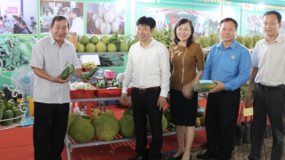 Bình Phước tổ chức Ngày Hội chợ trái cây và hàng nông sản