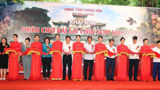Khai mạc phiên chợ vải lai chín sớm tại Hưng Yên