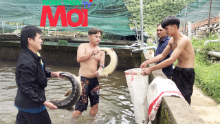 Đam Rông – \'Mỏ vàng\' của nghề nuôi cá tầm