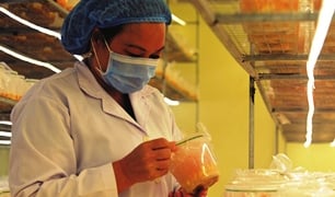 Thành công từ khát khao xây dựng quê hương giàu đẹp