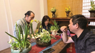 Hoa thủy tiên –  Thú chơi tao nhã, độc đáo 