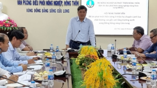 Đồng bằng sông Cửu Long quyết tâm xây dựng một triệu héc-ta vùng lúa chất lượng cao