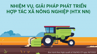 Phát triển hợp tác xã nông nghiệp: Một số nhiệm vụ, giải pháp