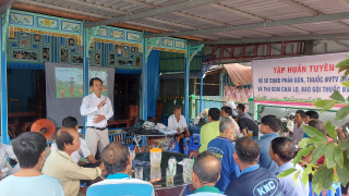 Các giải pháp khoa học thực vật sẽ góp phần cải thiện an ninh lương thực Thế giới