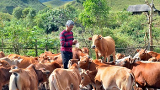 Chuyện vượt khó làm giàu của nông dân xuất sắc Chang Váng Sinh