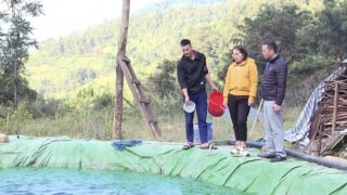 Phàn A Páo làm giàu từ nuôi cá hồi nước lạnh