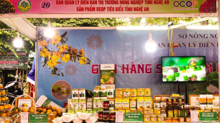 Nghệ An tham gia “Lễ hội hoa đào, quất cảnh và sản phẩm OCOP các vùng miền Xuân Giáp Thìn 2024” tại Hà Nội