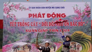 Huyện Mù Căng Chải phát động Lễ trồng cây Xuân Giáp Thìn 2024