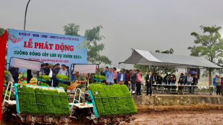 Phân bón Văn Điển – lựa chọn thông thái của nông dân thời đại 4.0