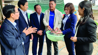 Trở thành tỷ phú nhờ áp dụng công nghệ cao vào sản xuất