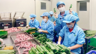\'Giò nóng 7 phút\' Tứ Phương chiếm ưu thế thị trường thực phẩm miền Trung