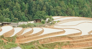 Đẹp ngỡ ngàng mùa nước đổ ở Mù Căng Chải