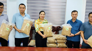 Bàn giao cho nông dân giống lúa Nếp Tài của người Dao đã được phục tráng 