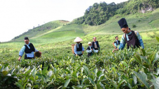 Quy định mới về hỗ trợ đất đai đối với người dân tộc thiểu số