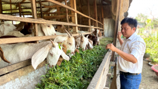 Bài 2: Phát triển thị trường sản phẩm chăn nuôi