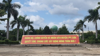 Bình Định: Huyện Tây Sơn đạt chuẩn Nông thôn mới