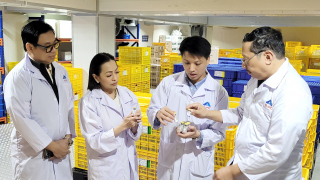 Xuất khẩu 150 nghìn liều vaccine dịch tả lợn châu Phi sang Philippines