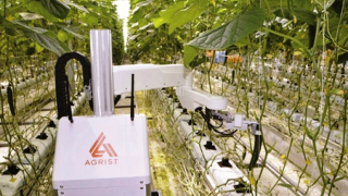 Ứng dụng AI - Cơ hội phát triển nông nghiệp nhanh, bền vững