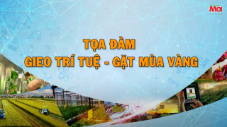 TỌA ĐÀM: \'GIEO TRÍ TUỆ - GẶT MÙA VÀNG\'