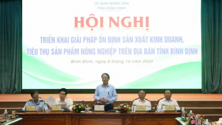 Bình Định: Tìm giải pháp hỗ trợ doanh nghiệp và nông dân ổn định sản xuất, kinh doanh