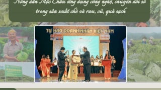 Nông dân Mộc Châu ứng dụng công nghệ, chuyển đổi số trong sản xuất chè và rau, củ, quả sạch