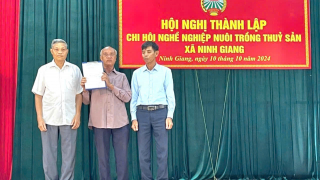 Ninh Bình: Thành lập Chi hội Nông dân \'5 tự, 5 cùng\'