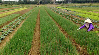 Quy định mới về xử phạt trong lĩnh vực đất đai