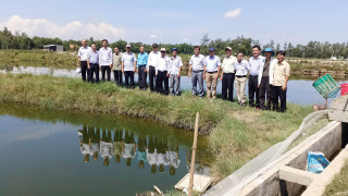 Thừa Thiên Huế phổ biến kỹ thuật nuôi ba ba thương phẩm cho các hội viên sản xuất giỏi