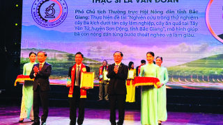 “Tiếp tục thực hiện đồng bộ, hiệu quả các giải pháp nâng cao chất lượng đội ngũ cán bộ Hội”