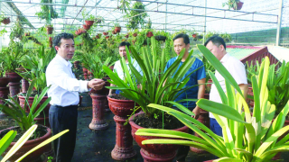 “Cán bộ Hội phải hiểu biết sâu rộng, đa dạng và linh hoạt”