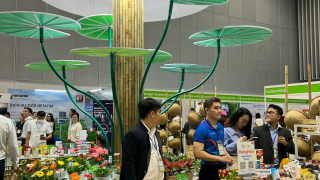 Đồng Tháp: Phát triển nông nghiệp, nông thôn bền vững