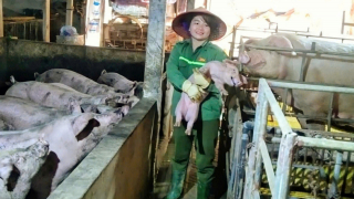 Vốn vay giải quyết việc làm: Tạo sức bật cho nông dân