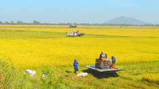 An Giang: Triển khai hiệu quả các chương trình, đề án về nông nghiệp, nông dân, nông thôn