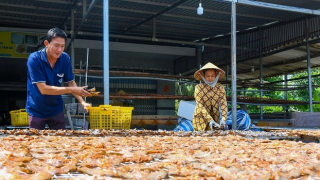 Cà Mau: Chủ động xây dựng, hình thành các liên kết chuỗi sản xuất, kinh doanh sản phẩm nông nghiệp