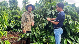 Khuyến nông cộng đồng giúp gia tăng giá trị cho ngành hàng cà phê