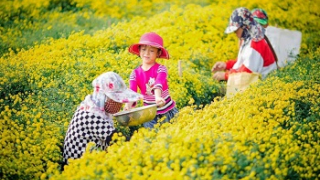 Hưng Yên: Phát triển du lịch nông thôn gắn với các làng nghề truyền thống