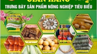 Đợt 1 năm 2024: Hội Nông dân huyện Hiệp Hòa đã hỗ trợ thành công 12 sản phẩm đạt OCOP
