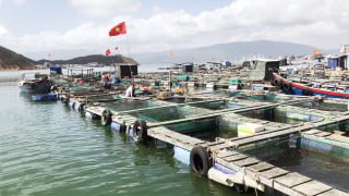 Tăng cường nuôi trồng thủy sản các tháng cuối năm 2024