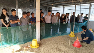 Thanh Hoá: Trao đổi, chia sẻ kinh nghiệm xử lý rác thải thân thiện với môi trường với nông dân