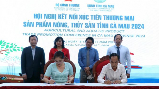 Các địa phương xúc tiến quảng bá và xây dựng thương hiệu cho nông sản