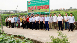 Tham quan, học tập kinh nghiệm ở HTX sản xuất và tiêu thụ nông sản an toàn