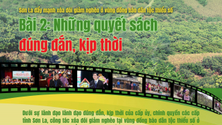 Bài 2: Những quyết sách đúng đắn, kịp thời