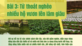 Bài 3: Từ thoát nghèo nhiều hộ vươn lên làm giàu